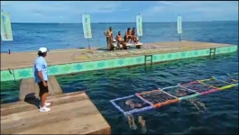 Survivor - Season 43 Episode 11